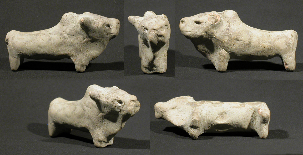 indus-bull-5975a