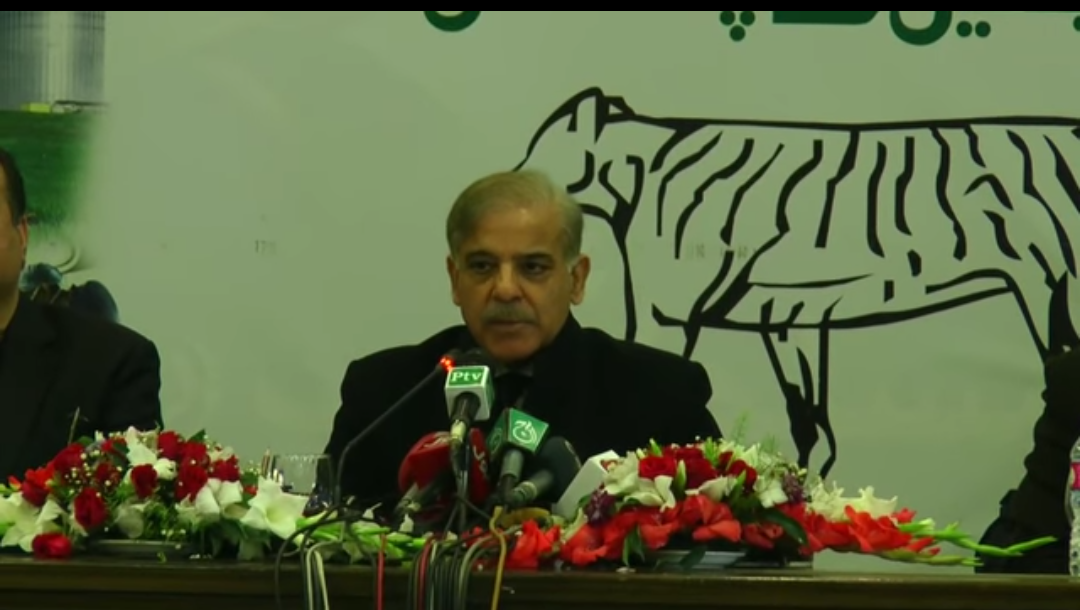 CM Punjab Shahbaz Sharif CM Punjab image