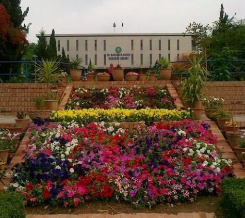 beautiful-view-of-qau