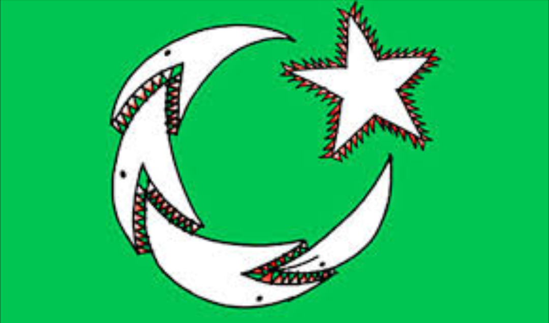 Pakistan People ہم عوام پاکستان کے
