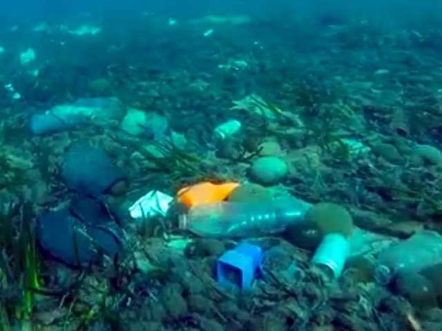 Pollution, Sea آلودگی، سمندری