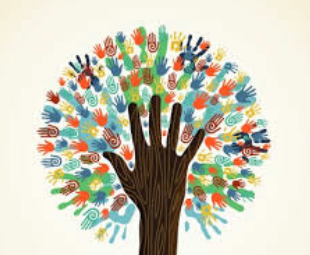 Donors NGOs ڈونرز اور این جی اوز