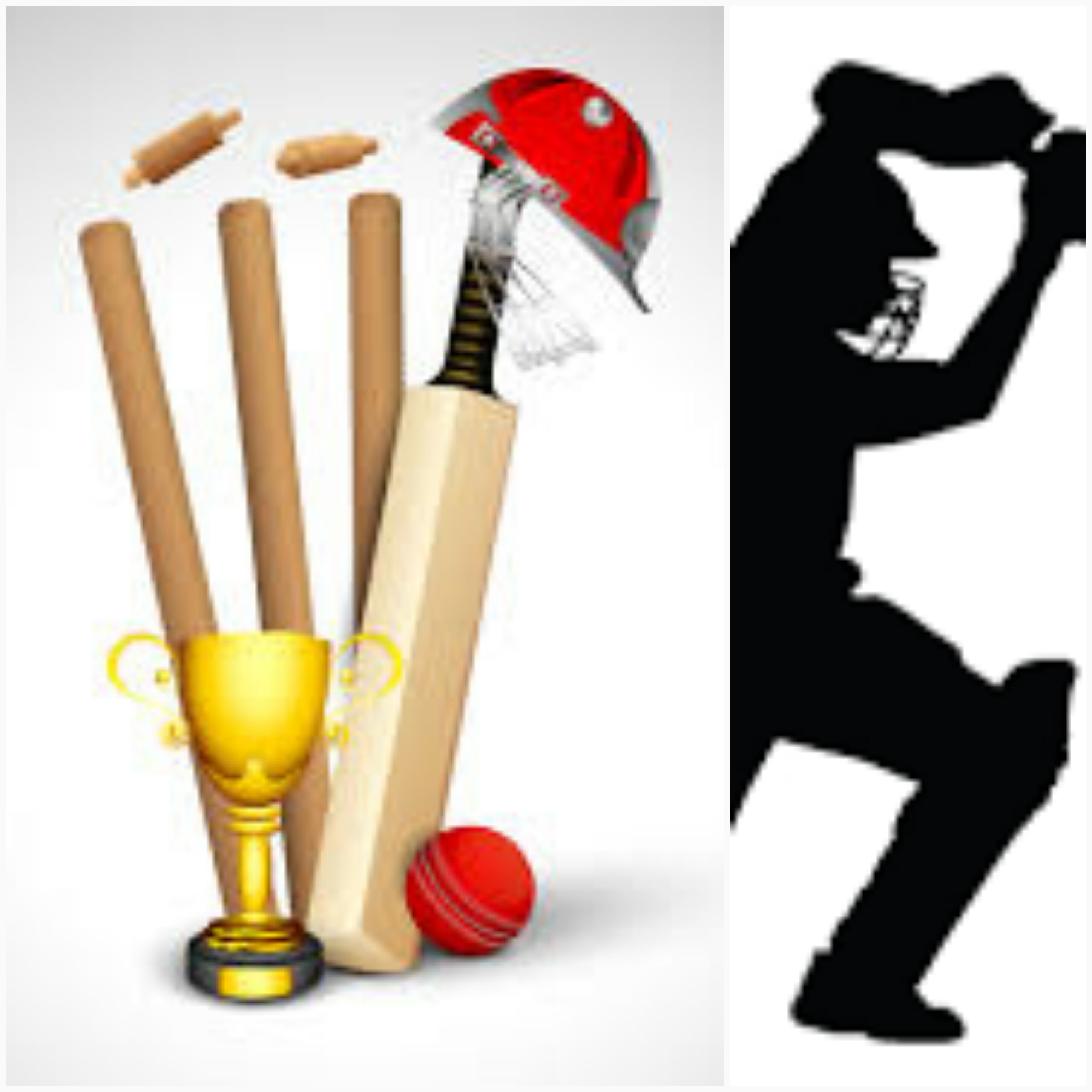 cricket کرکٹ میں بگ تھری aik Rozan