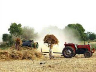 چھوٹے کسان کی زندگی ، بار دانہ اور نواز حکومت