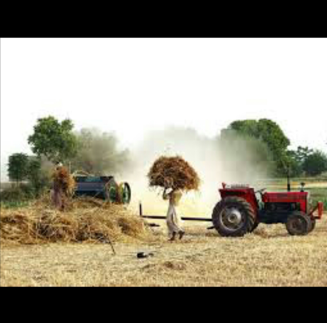 Punjab Small Farmer چھوٹے کسان کی زندگی ، بار دانہ اور نواز حکومت