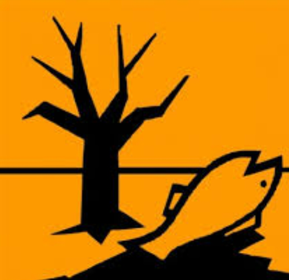 Environment, Ecology پاکستان عالمی ماحولیاتی تبدیلیوں کے زیر اثر