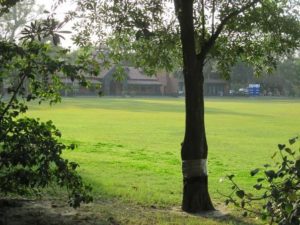 Lahore's famous Lawrence Gardens