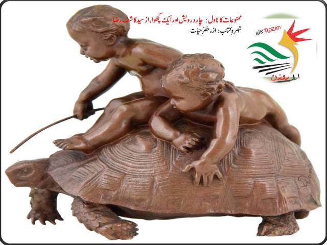 Tortoise ممنوعات کا ناول : چار درویش اور ایک کچھوا