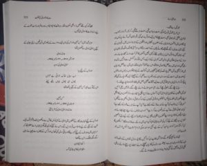 بے پناہ شادمانی کی مملکت