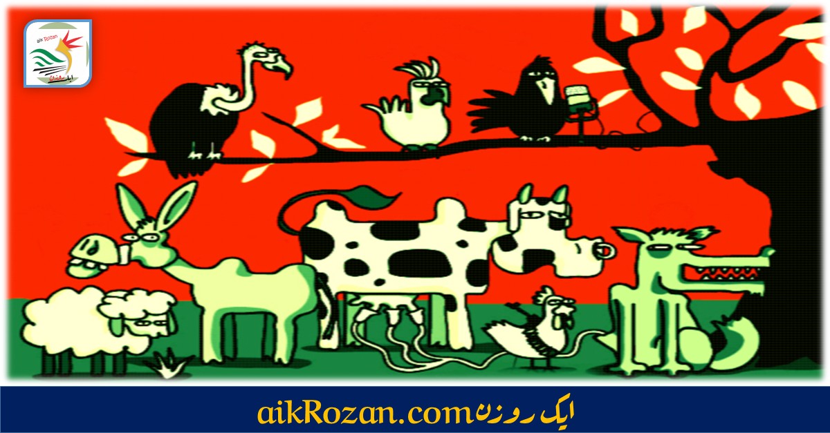 معاشرے کی جہالت معاشرے کی جہالت