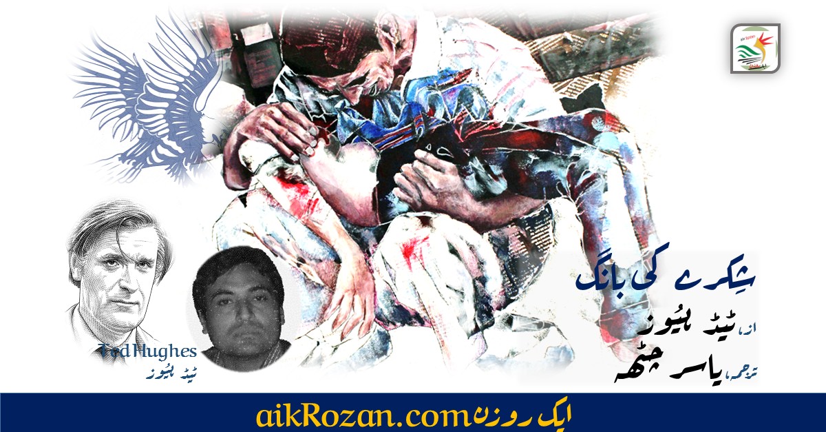 شکرے کی بانگ شکرے کی بانگ