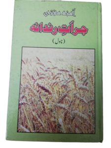 جرأت رندانہ از، آمنہ مفتی