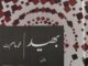 Asim Butt Urdu Novel Bhed