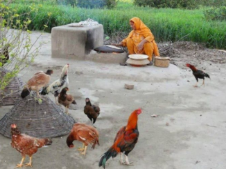 a village in Pakistan