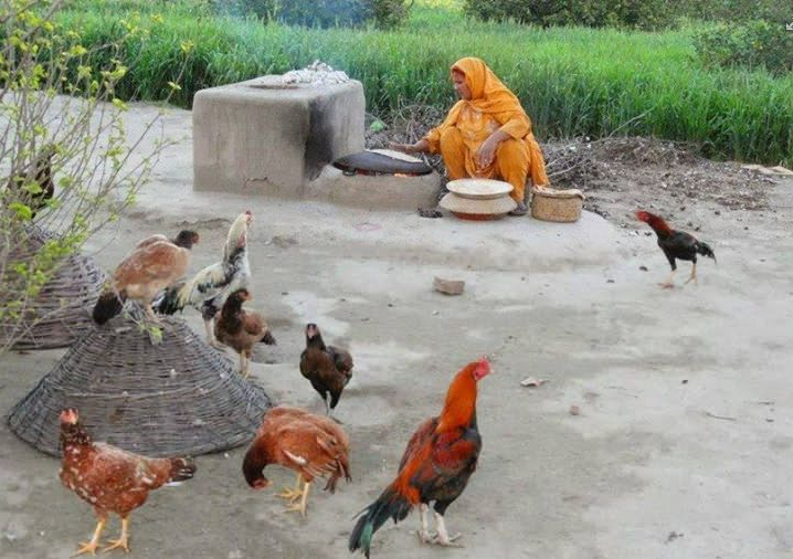 Multan village a village in Pakistan