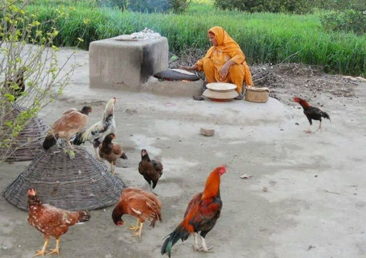 a village in Pakistan