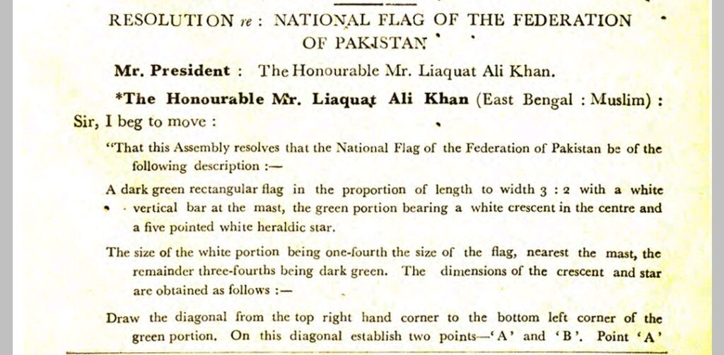 national flag resolution cap