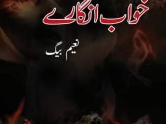 Naeem Baig book review khawab angary