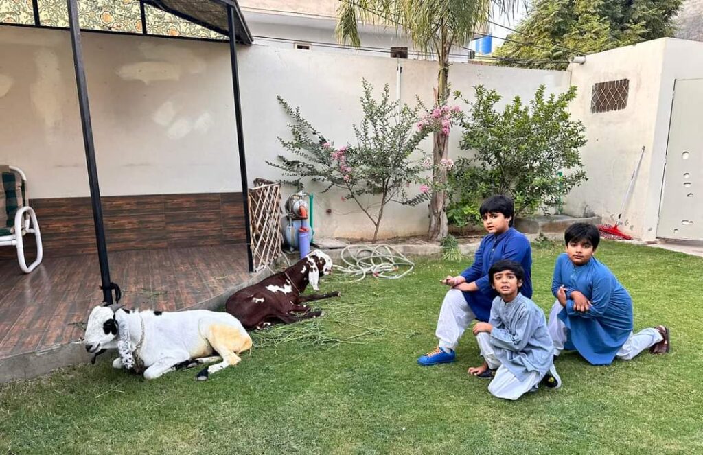 eid and kids
