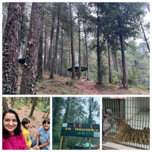 wildlife park bansara gali muree pakistan